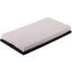 Purchase Top-Quality Air Filter by PRONTO FILTERS - PA4862 pa1