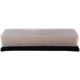 Purchase Top-Quality PRONTO FILTERS - PA4866 - Air Filter pa2