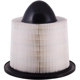 Purchase Top-Quality PRONTO FILTERS - PA4878 - Air Filter pa4