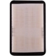 Purchase Top-Quality PRONTO FILTERS - PA4882 - Air Filter pa1