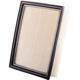 Purchase Top-Quality PRONTO FILTERS - PA4995 - Air Filter pa1