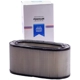 Purchase Top-Quality PRONTO FILTERS - PA5042 - Air Filter pa2