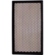 Purchase Top-Quality PRONTO FILTERS - PA5043 - Air Filter pa7