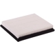 Purchase Top-Quality PRONTO FILTERS - PA5048 - Air Filter pa3