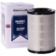 Purchase Top-Quality PRONTO FILTERS - PA5091 - Air Filter pa1