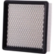 Purchase Top-Quality Filtre � air by PRONTO FILTERS - PA5150 pa4