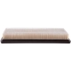 Purchase Top-Quality Air Filter by PRONTO FILTERS - PA5257 pa1