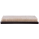 Purchase Top-Quality Air Filter by PRONTO FILTERS - PA5257 pa4