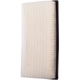 Purchase Top-Quality Air Filter by PRONTO FILTERS - PA5301 pa1