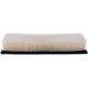 Purchase Top-Quality Air Filter by PRONTO FILTERS - PA5301 pa3