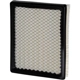 Purchase Top-Quality Air Filter by PRONTO FILTERS - PA5396 pa5