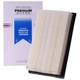 Purchase Top-Quality Air Filter by PRONTO FILTERS - PA5418 pa3