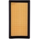 Purchase Top-Quality Air Filter by PRONTO FILTERS - PA5421 pa4