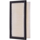 Purchase Top-Quality Air Filter by PRONTO FILTERS - PA5446 pa4