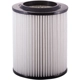 Purchase Top-Quality PRONTO FILTERS - PA5456 - Air Filter pa3