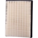 Purchase Top-Quality PRONTO FILTERS - PA5461 - Air Filter pa1