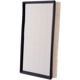 Purchase Top-Quality PRONTO FILTERS - PA5462 - Air Filter pa3