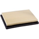 Purchase Top-Quality PRONTO FILTERS - PA5528 - Air Filter pa6