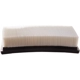 Purchase Top-Quality PRONTO FILTERS - PA5553 - Air Filter pa2