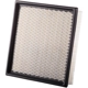 Purchase Top-Quality PRONTO FILTERS - PA5553 - Air Filter pa3