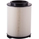 Purchase Top-Quality PRONTO FILTERS - PA5556 - Air Filter pa5