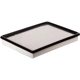 Purchase Top-Quality PRONTO FILTERS - PA5560 - Air Filter pa4