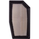 Purchase Top-Quality PRONTO FILTERS - PA5565 - Air Filter pa1