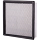 Purchase Top-Quality PRONTO FILTERS - PA5568 - Air Filter pa4