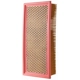 Purchase Top-Quality PRONTO FILTERS - PA5569 - Air Filter pa4