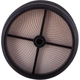 Purchase Top-Quality PRONTO FILTERS - PA5638 - Air Filter pa5