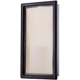 Purchase Top-Quality PRONTO FILTERS - PA5669 - Air Filter pa4