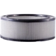 Purchase Top-Quality PRONTO FILTERS - PA57 - Air Filter pa4