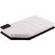 Purchase Top-Quality PRONTO FILTERS - PA5795 - Air Filter pa1