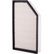 Purchase Top-Quality PRONTO FILTERS - PA5795 - Air Filter pa2