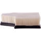 Purchase Top-Quality PRONTO FILTERS - PA5797L - Air Filter pa2