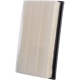 Purchase Top-Quality PRONTO FILTERS - PA5811 - Air Filter pa1