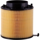 Purchase Top-Quality PRONTO FILTERS - PA5813 - Air Filter pa1