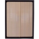 Purchase Top-Quality PRONTO FILTERS - PA5823 - Air Filter pa3