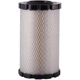 Purchase Top-Quality PRONTO FILTERS - PA5841 - Air Filter pa2