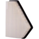 Purchase Top-Quality PRONTO FILTERS - PA5880 - Air Filter pa4