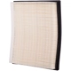 Purchase Top-Quality PRONTO FILTERS - PA5900 - Air Filter pa1