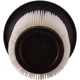 Purchase Top-Quality PRONTO FILTERS - PA6067 - Air Filter pa3