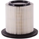 Purchase Top-Quality PRONTO FILTERS - PA6067 - Air Filter pa4