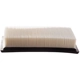 Purchase Top-Quality PRONTO FILTERS - PA6121 - Air Filter pa1