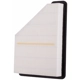 Purchase Top-Quality PRONTO FILTERS - PA6131 - Air Filter pa1