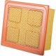 Purchase Top-Quality PRONTO FILTERS - PA6164 - Engine Air Filter pa1