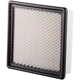 Purchase Top-Quality PRONTO FILTERS - PA6169 - Engine Air Filter pa2