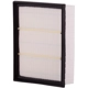 Purchase Top-Quality PRONTO FILTERS - PA6317 - Engine Air Filter pa2