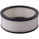 Purchase Top-Quality PRONTO FILTERS - PA67 - Engine Air Filter pa5