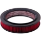 Purchase Top-Quality PRONTO FILTERS - PA68 - Engine Air Filter pa1